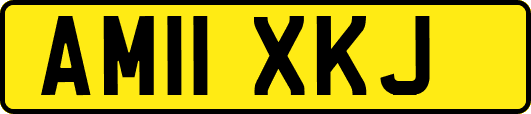 AM11XKJ