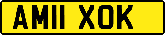 AM11XOK