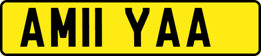 AM11YAA