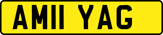 AM11YAG