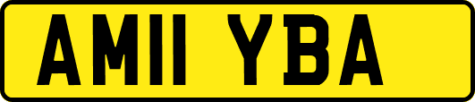 AM11YBA