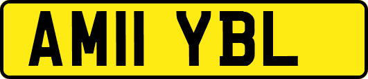 AM11YBL