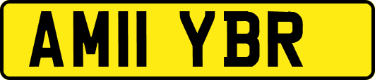 AM11YBR