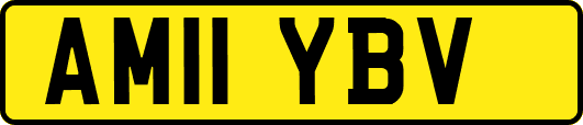 AM11YBV