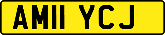 AM11YCJ