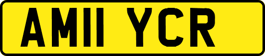 AM11YCR