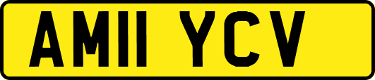AM11YCV