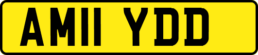 AM11YDD