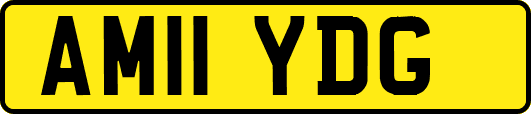 AM11YDG