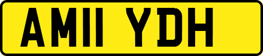 AM11YDH