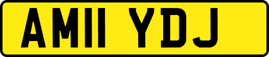 AM11YDJ