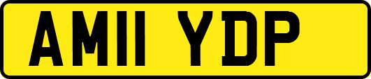 AM11YDP