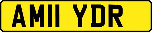 AM11YDR