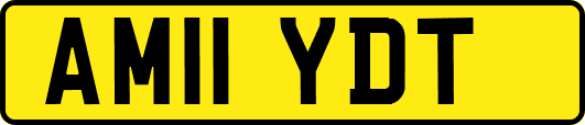 AM11YDT
