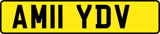 AM11YDV