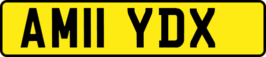 AM11YDX