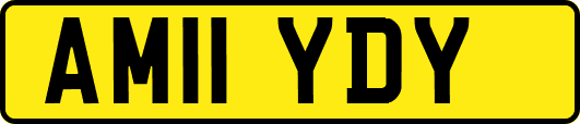 AM11YDY