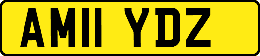 AM11YDZ