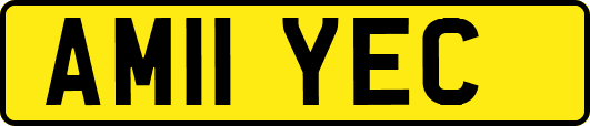 AM11YEC