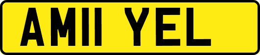 AM11YEL