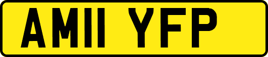 AM11YFP