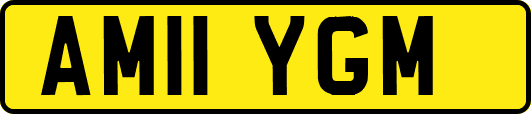 AM11YGM