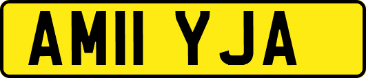 AM11YJA