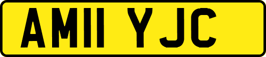AM11YJC