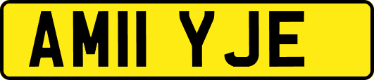 AM11YJE
