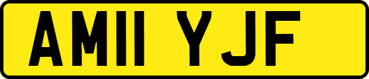 AM11YJF