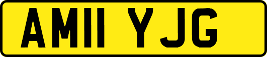 AM11YJG