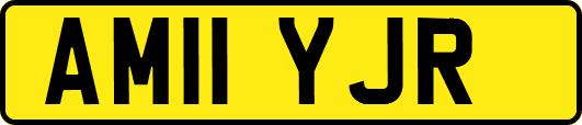 AM11YJR