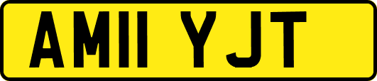 AM11YJT