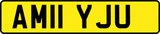 AM11YJU