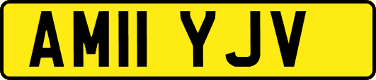 AM11YJV