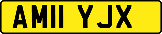AM11YJX