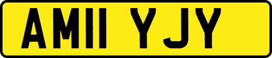 AM11YJY