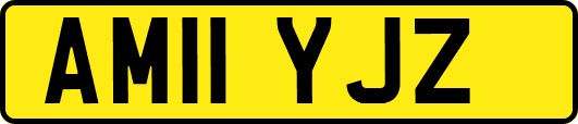 AM11YJZ