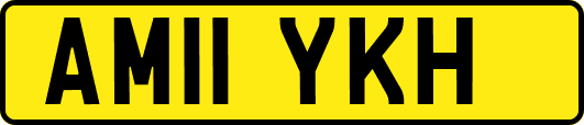 AM11YKH