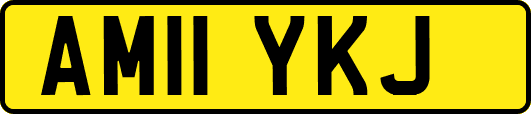 AM11YKJ