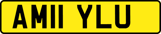 AM11YLU