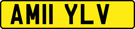 AM11YLV