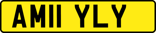 AM11YLY