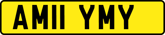AM11YMY