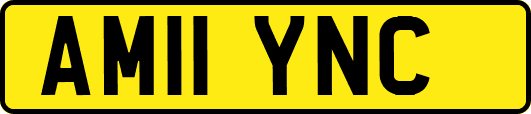 AM11YNC