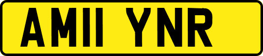 AM11YNR