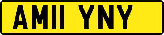 AM11YNY
