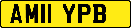 AM11YPB