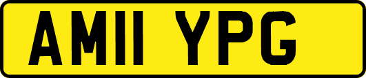AM11YPG