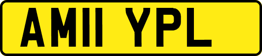 AM11YPL
